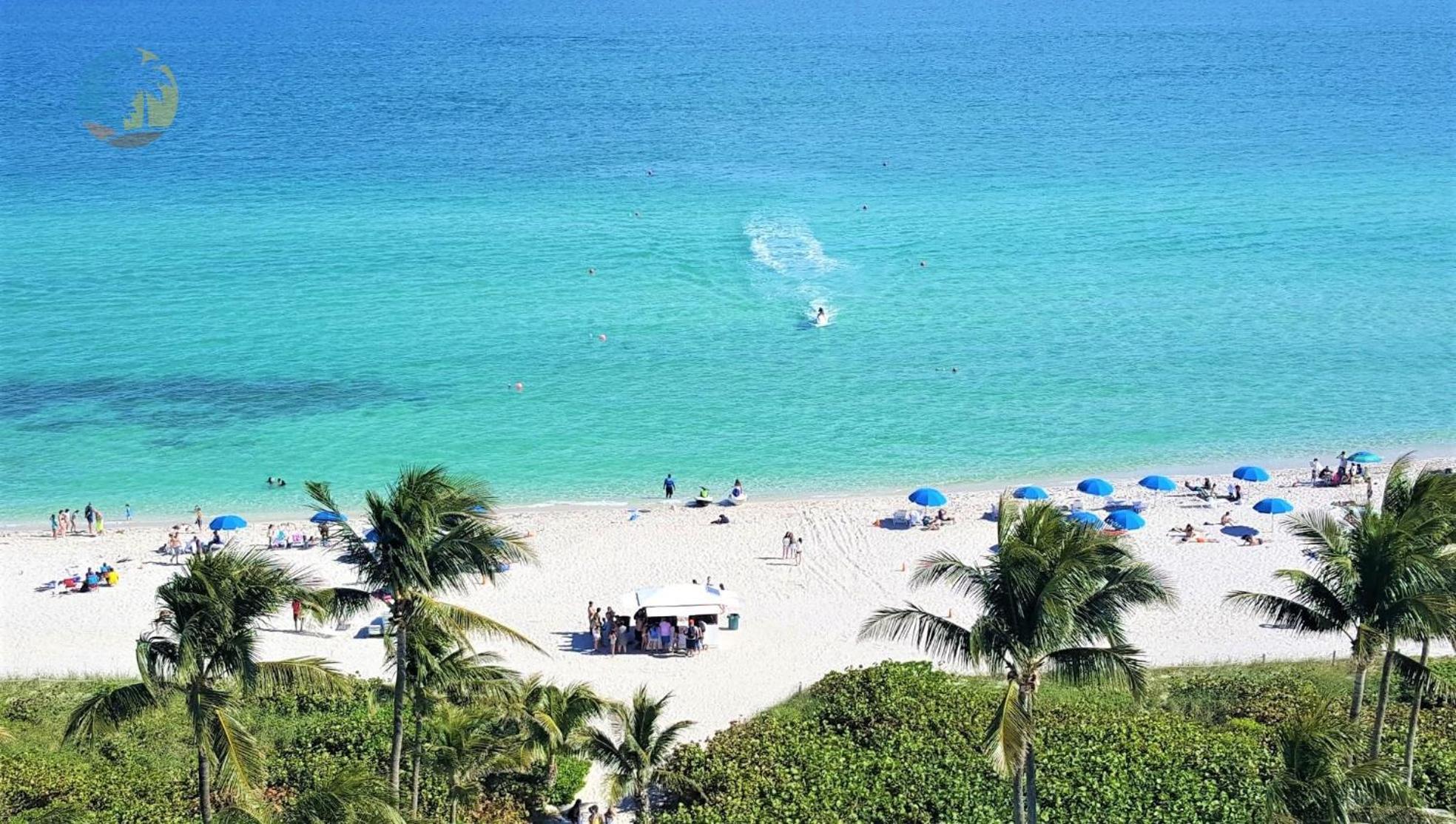 Alexander 819 Miami Beach